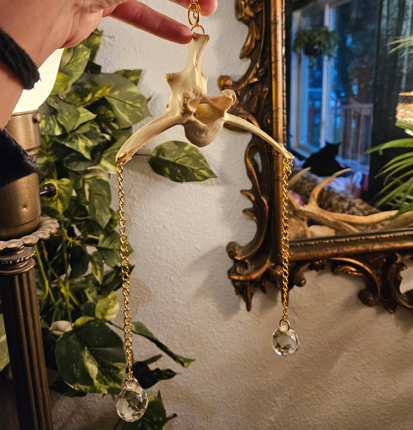 Vertebrae Suncatcher
