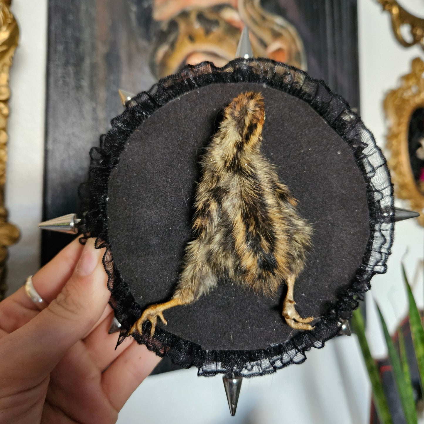 Hard-core Baby Quail