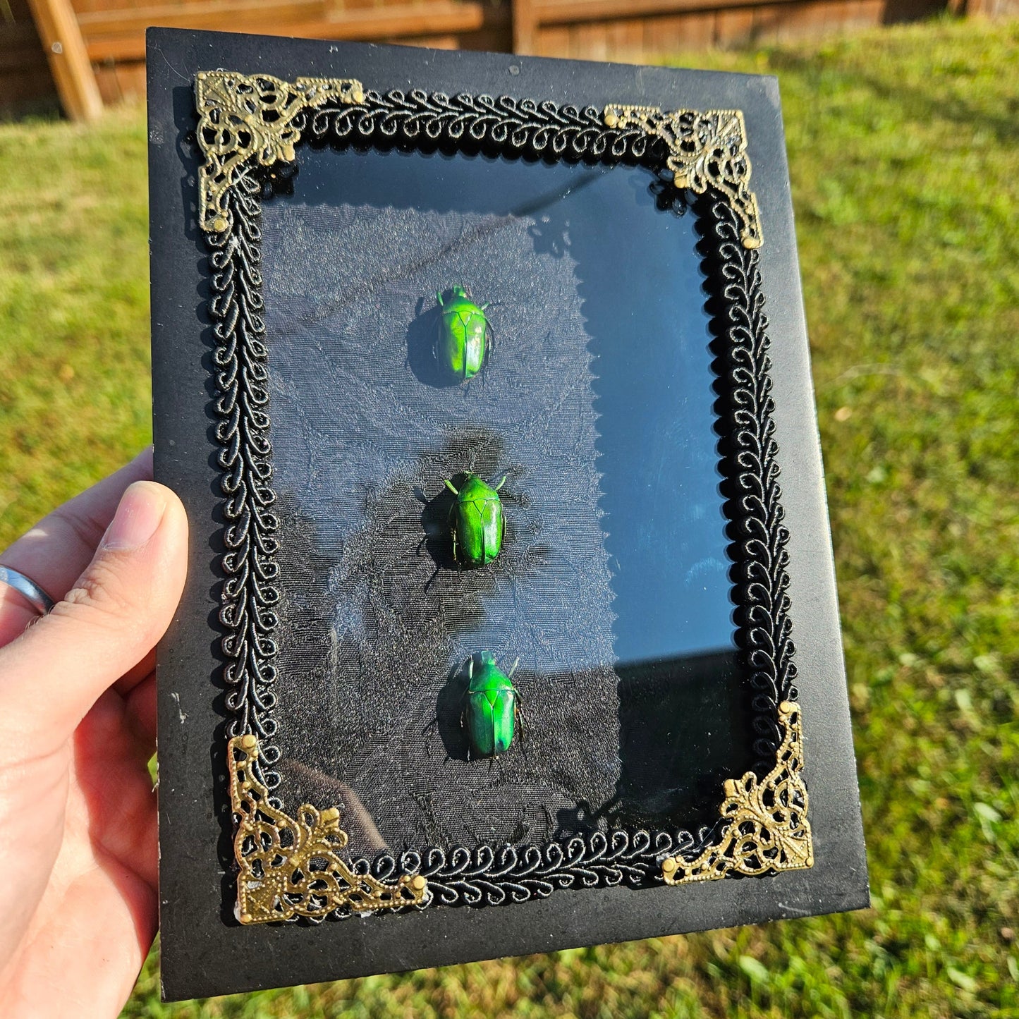 Scarab trio