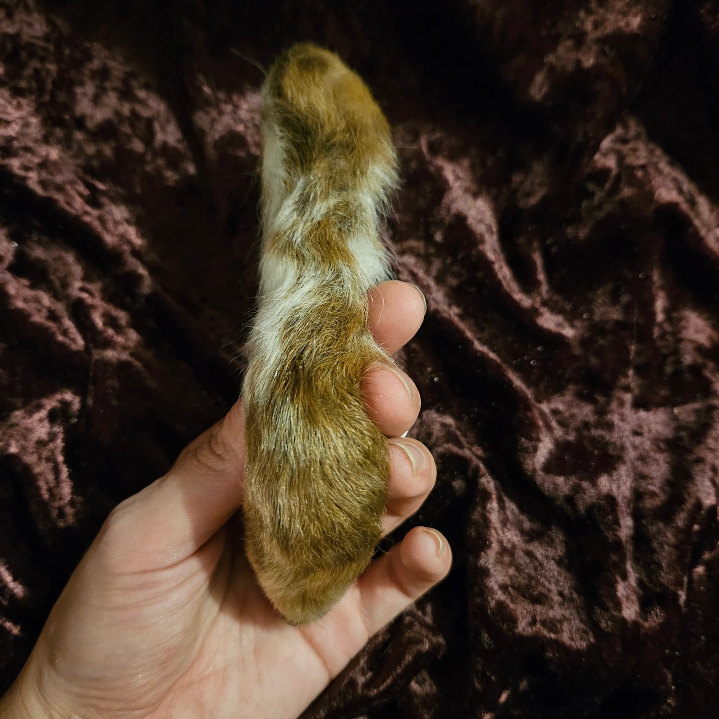 Mummified Lamb Leg