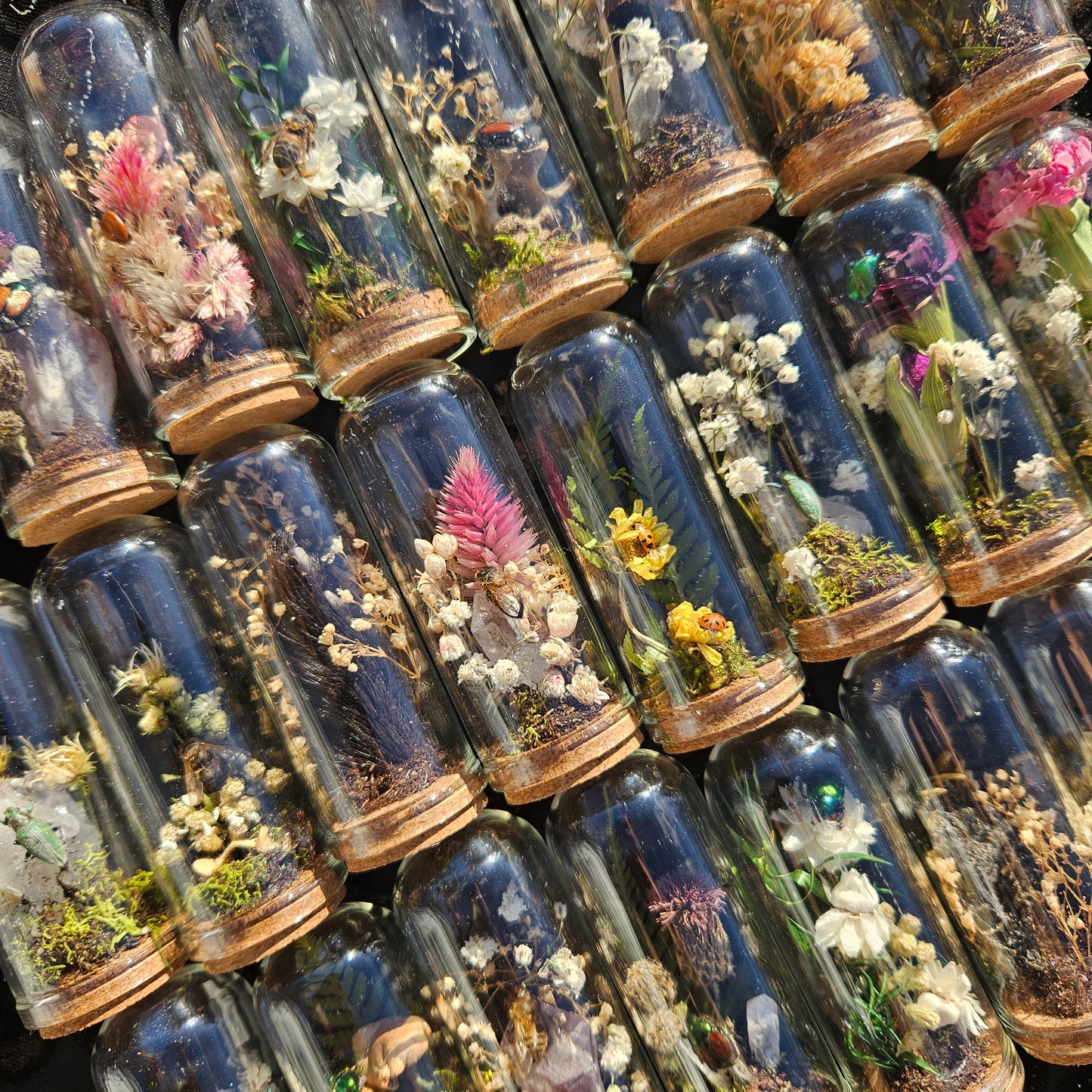 Mystery Mini World Dome