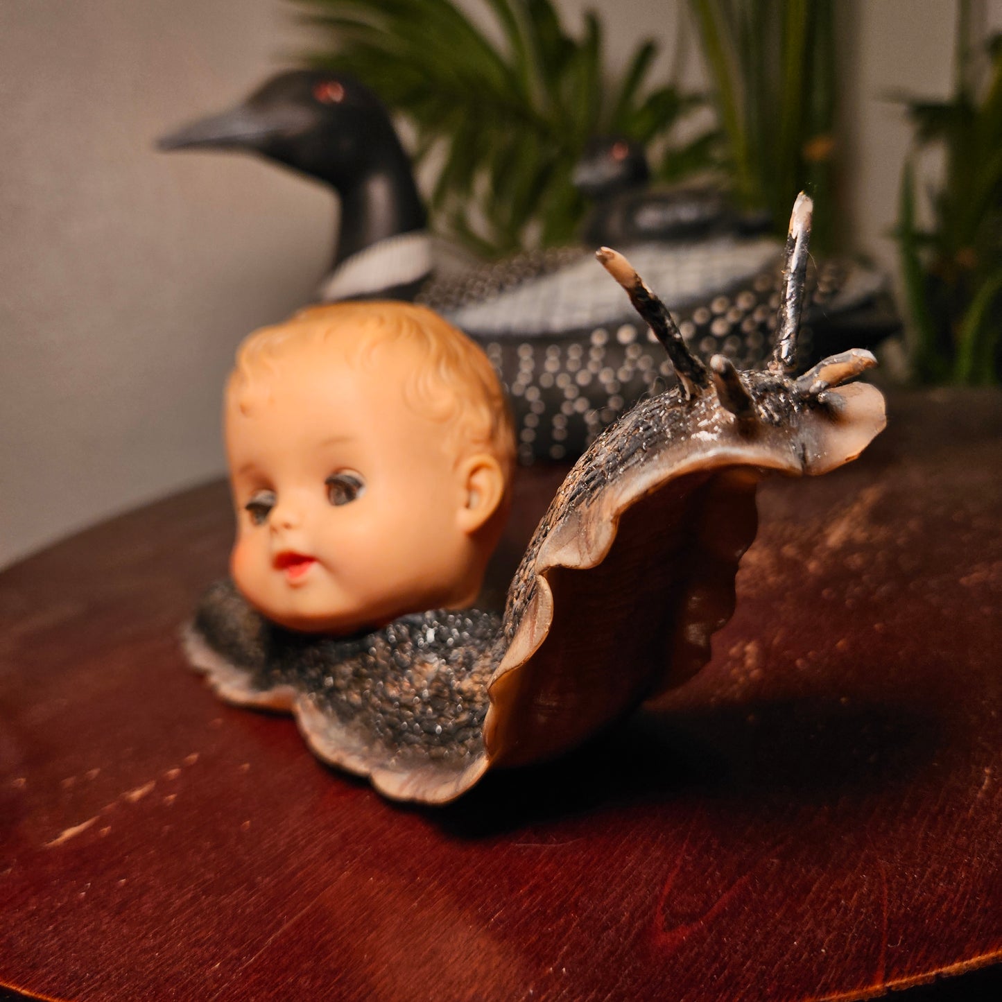 Large babyhead snail
