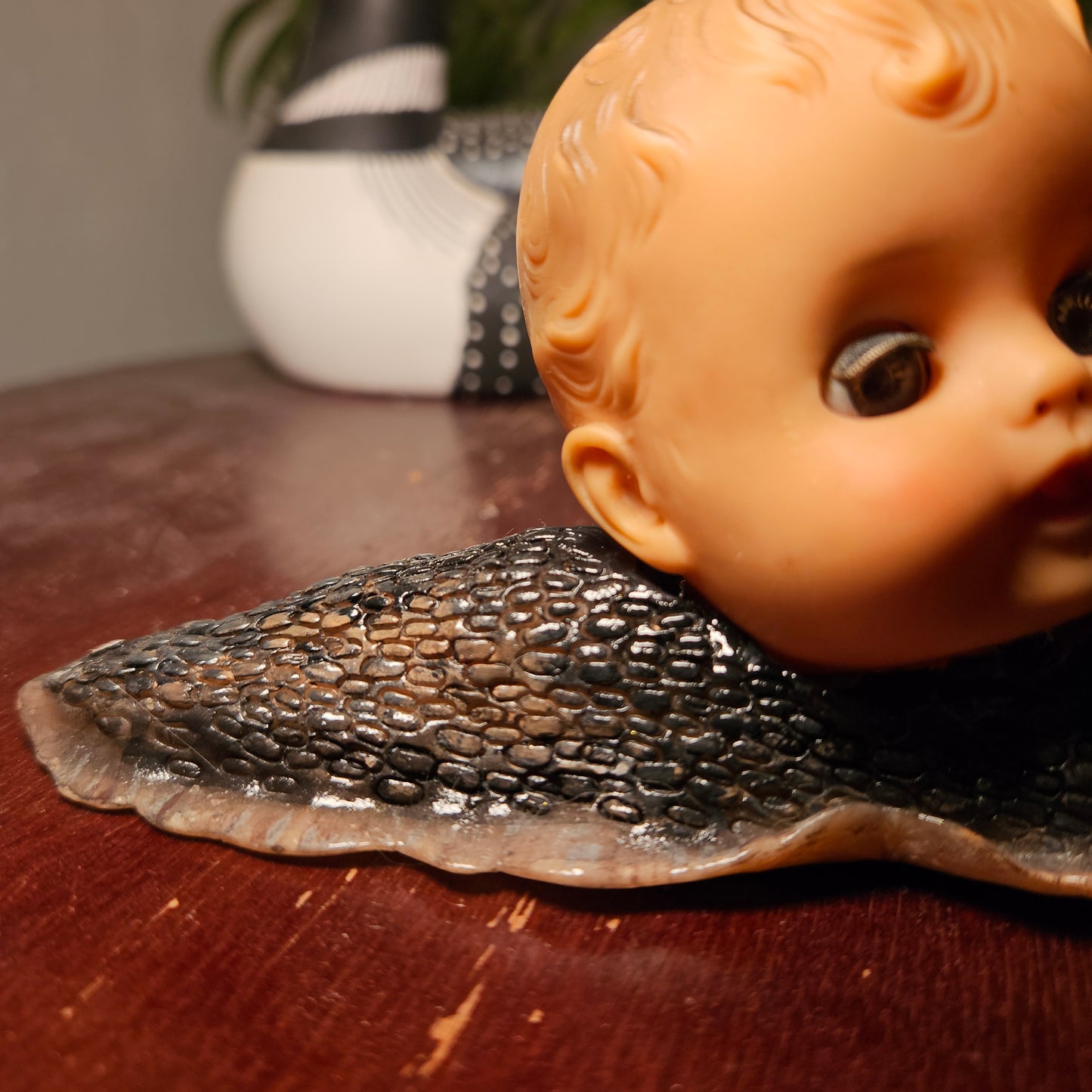 Large babyhead snail