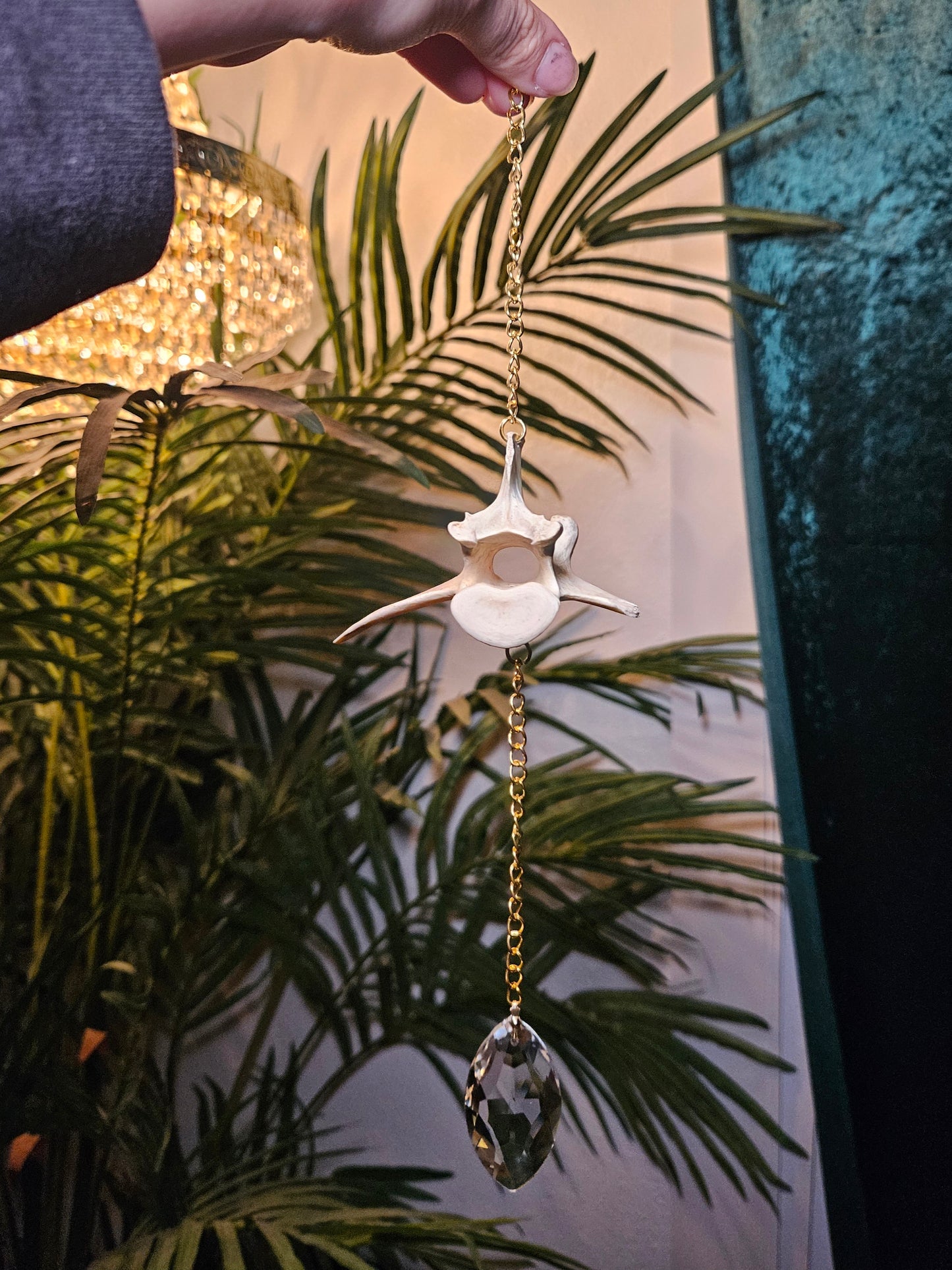 Deer Vertebrae Suncatcher