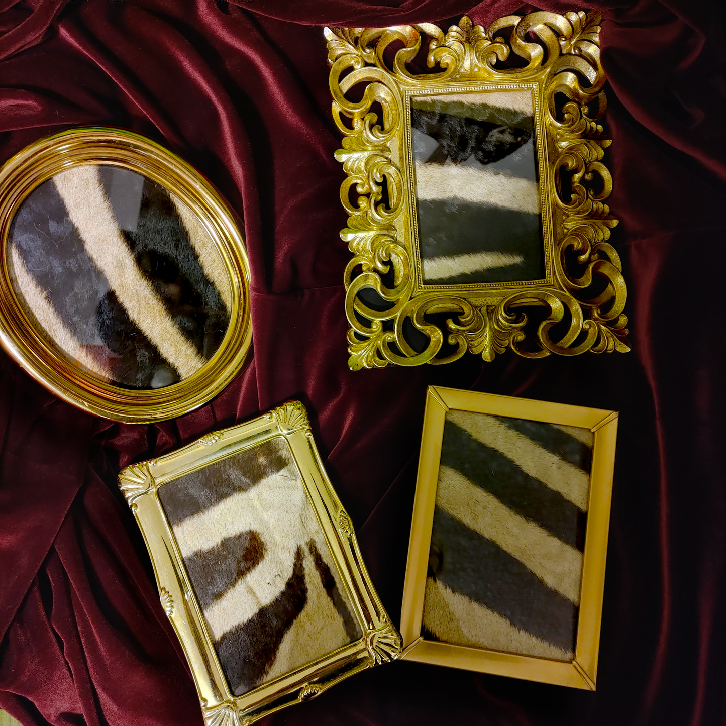 Assorted Framed Zebra Hide