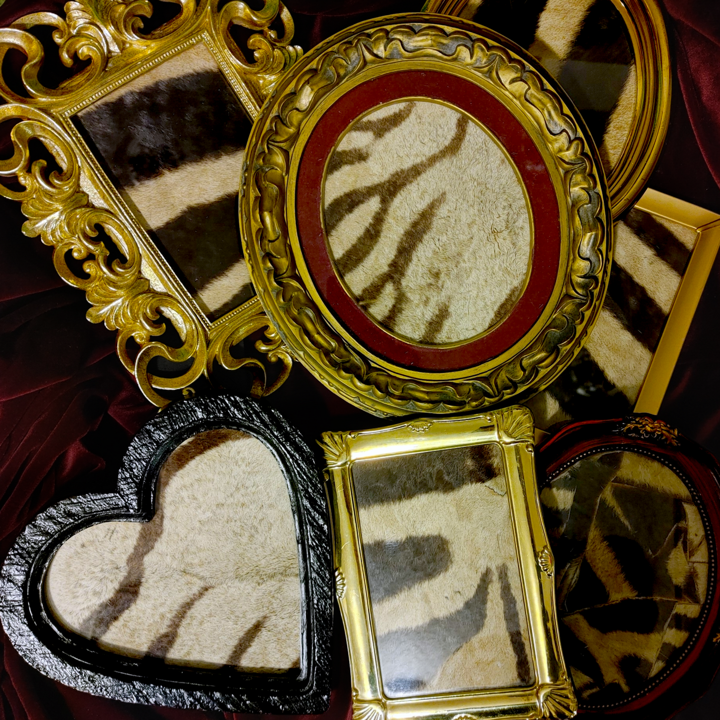 Assorted Framed Zebra Hide
