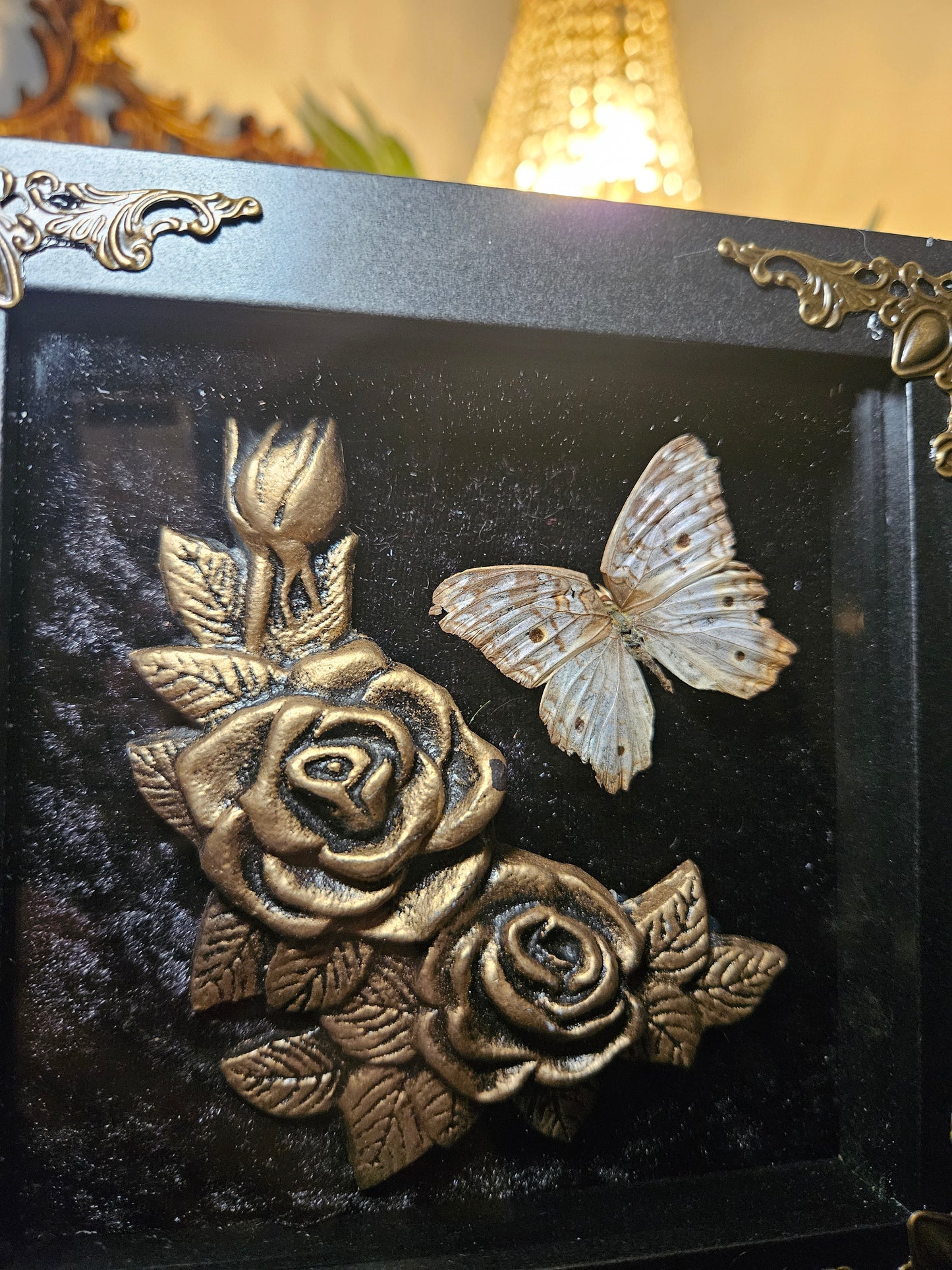 White Peacock Mourning Rose