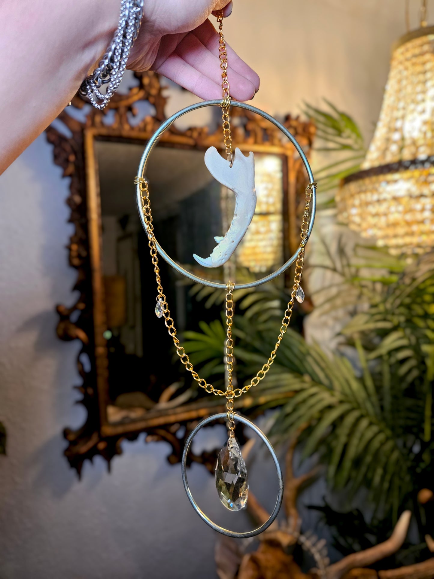 Opposum jaw suncatcher