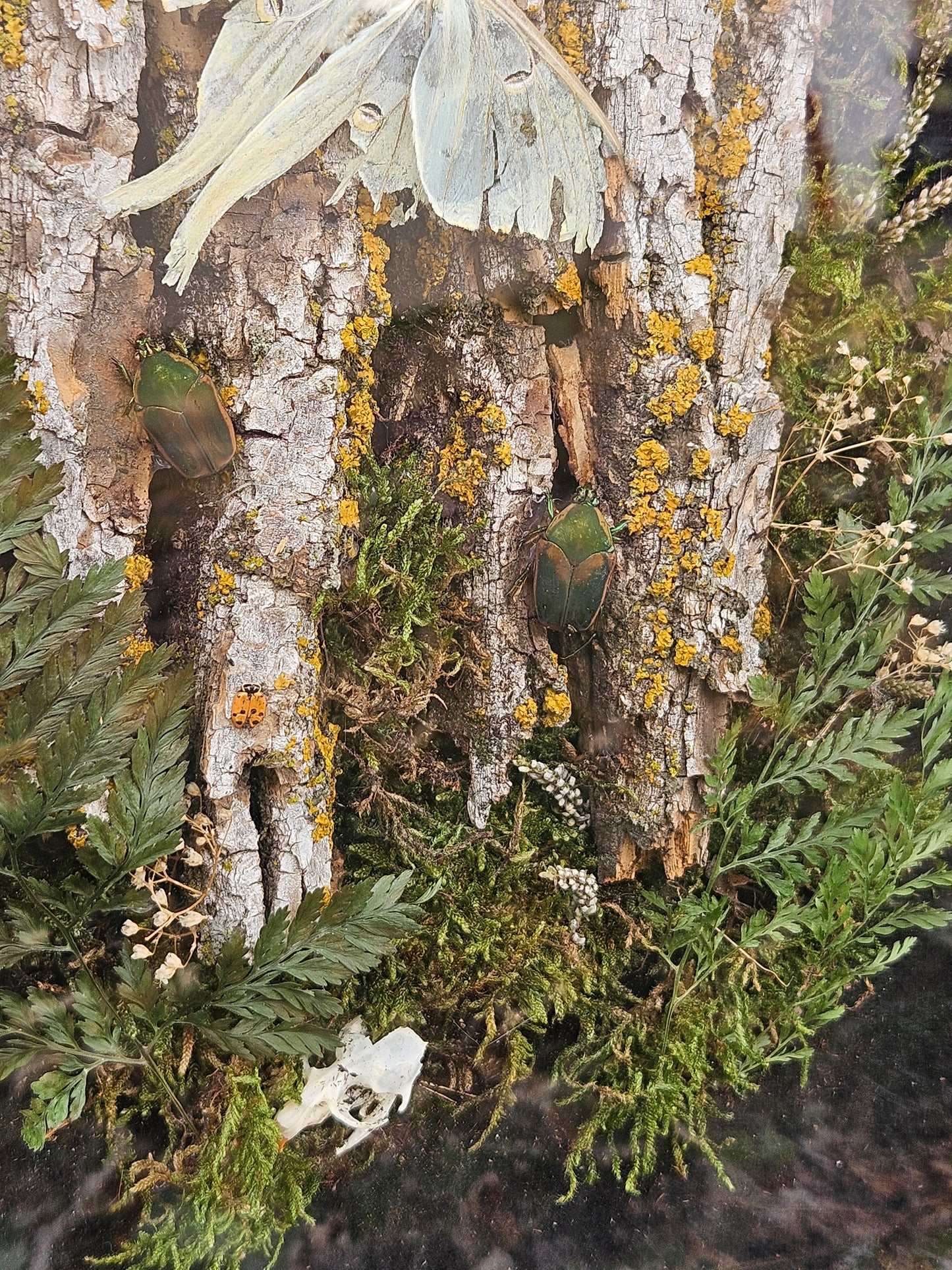 Midwest Camoflauge