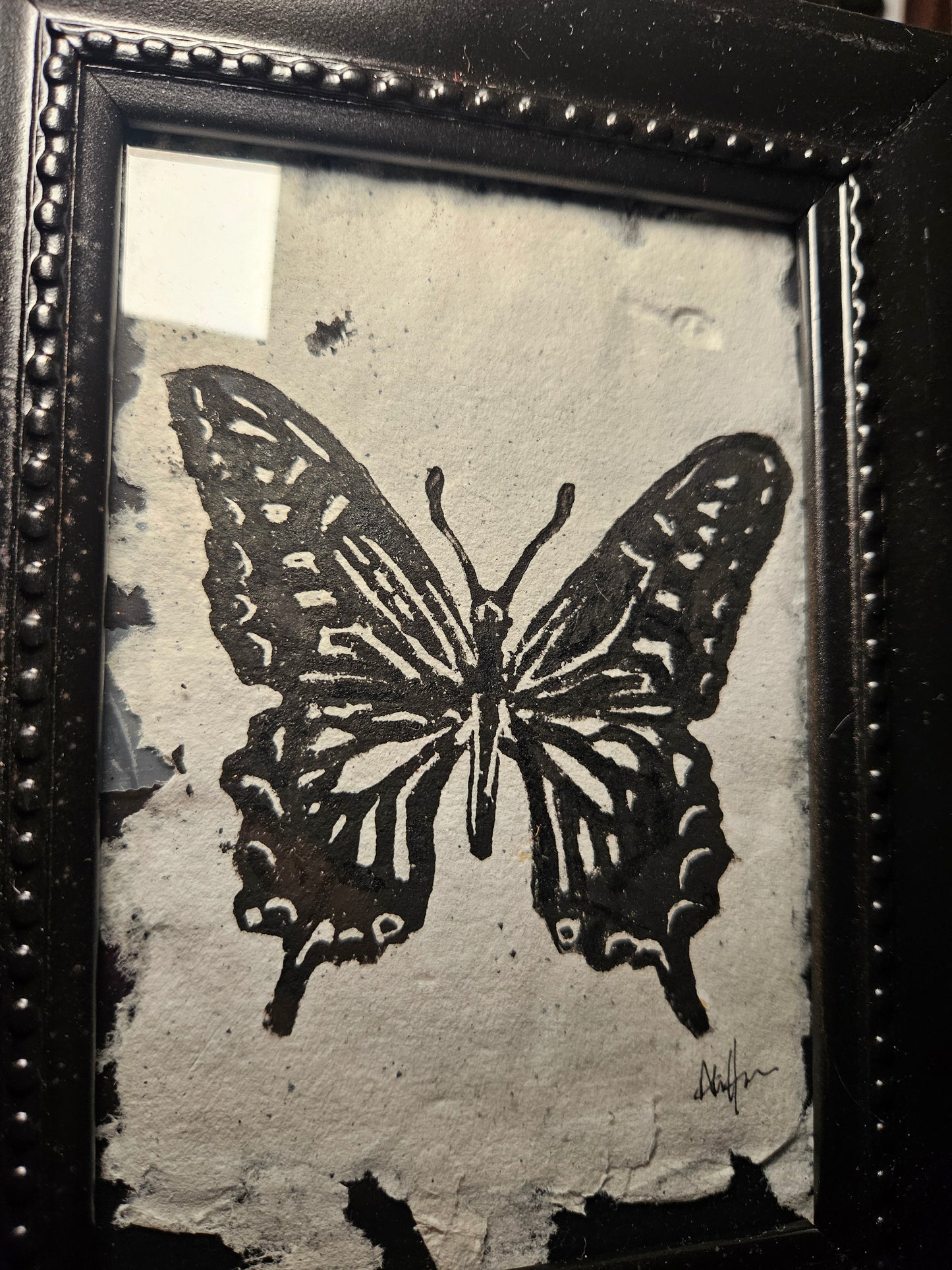 Framed Black swallowtail butterfly linocut