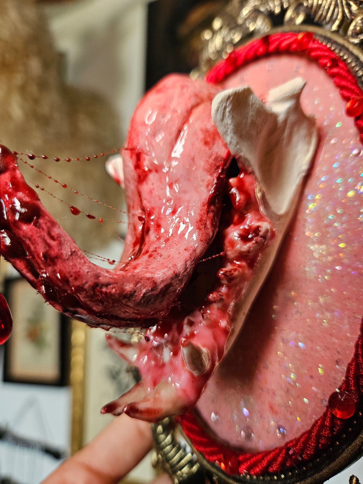 Mustelid jaw