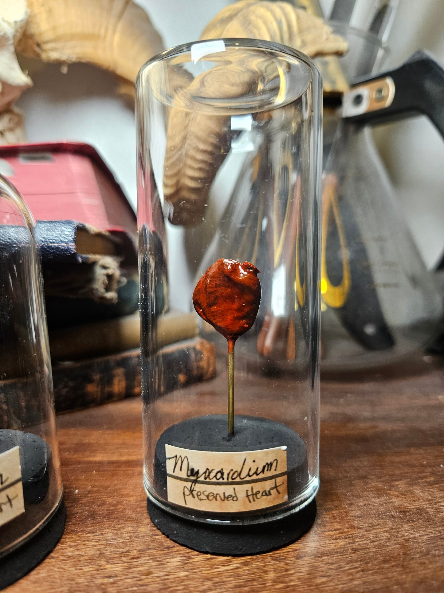 Preserved Heart Curios