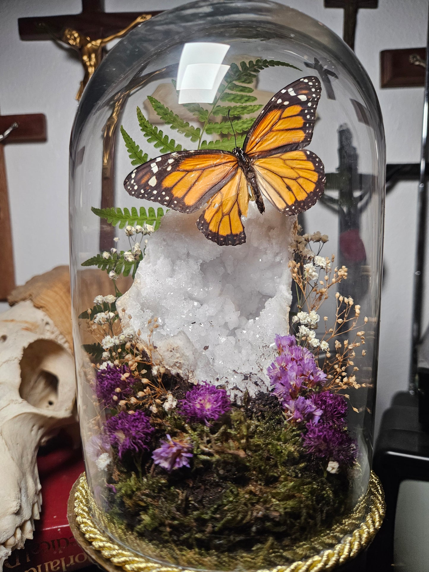 Monarch Butterfly Dome