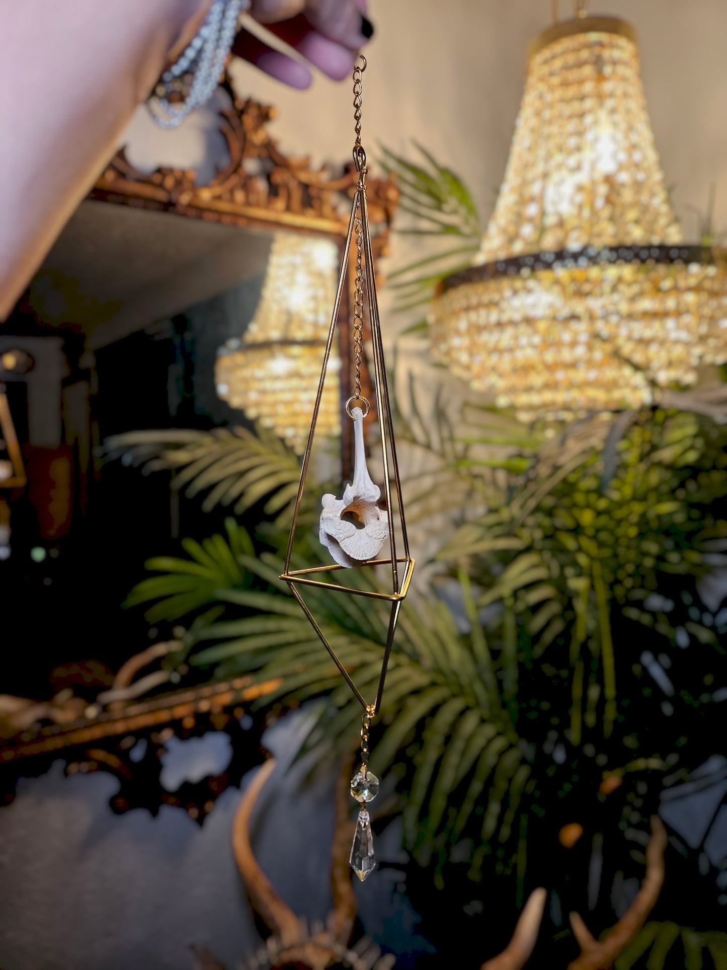 Goat vertebrae suncatcher