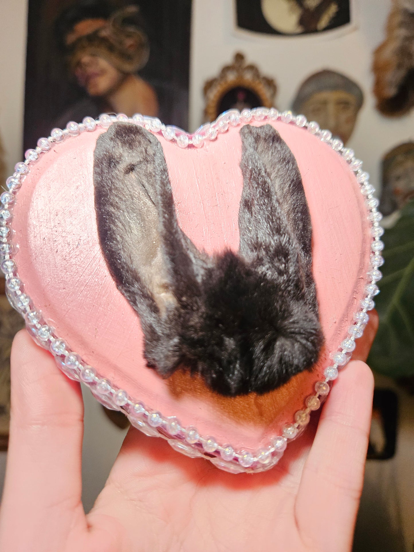 Pretty in pink rabbit ears