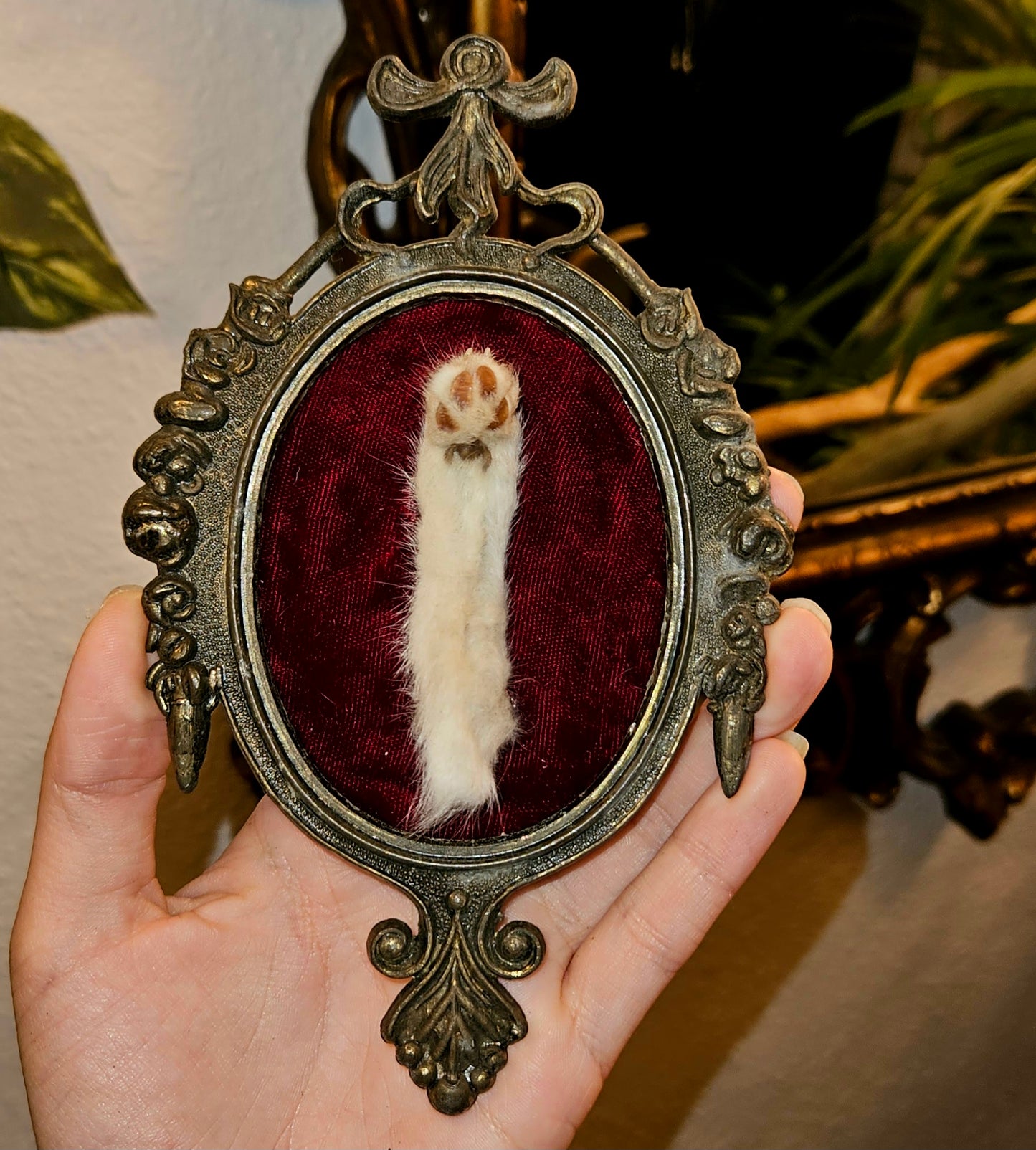 Victorian Framed Cat Paw