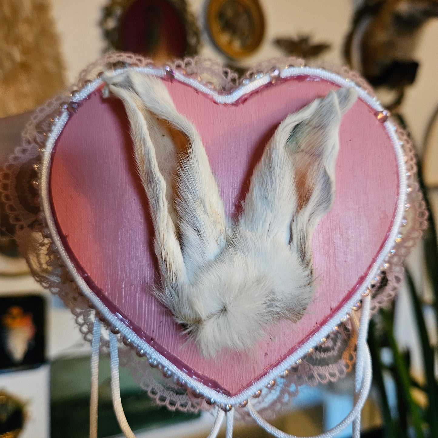 Princess rabbit ears