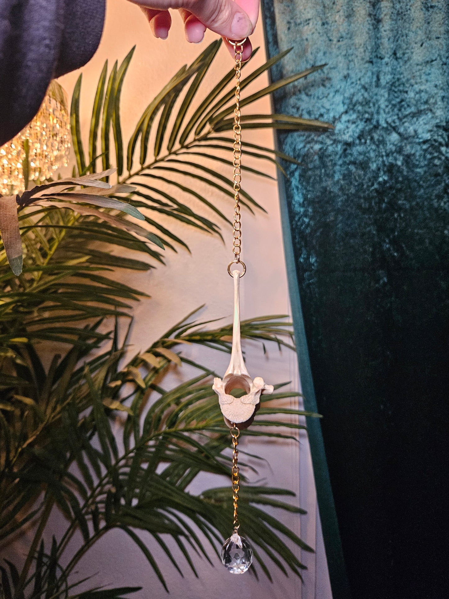Goat Vertebrae Suncatcher