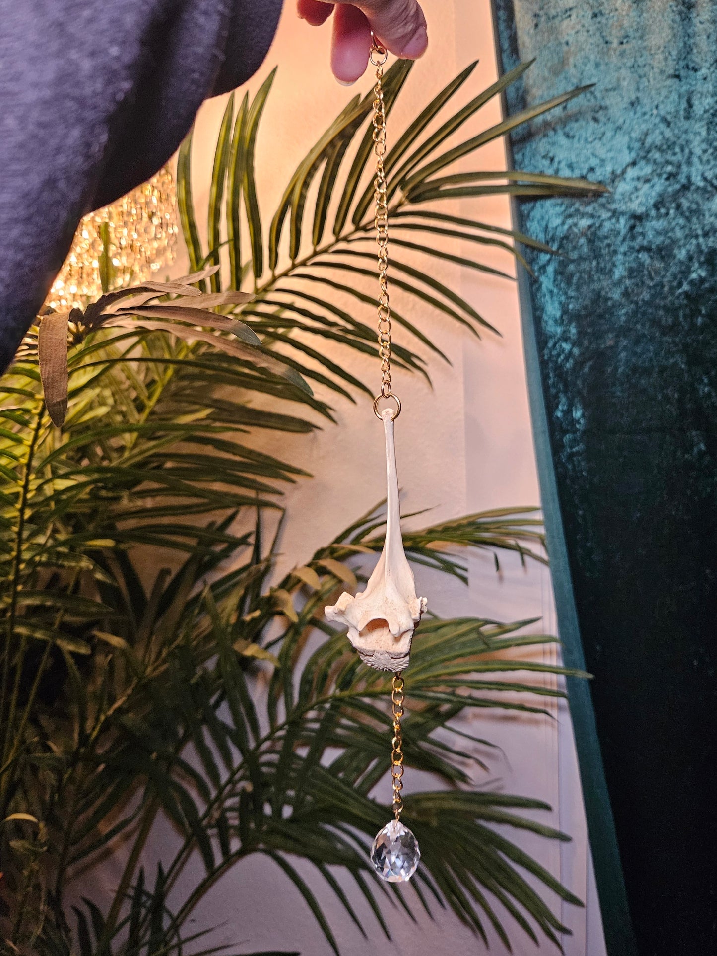 Goat Vertebrae Suncatcher