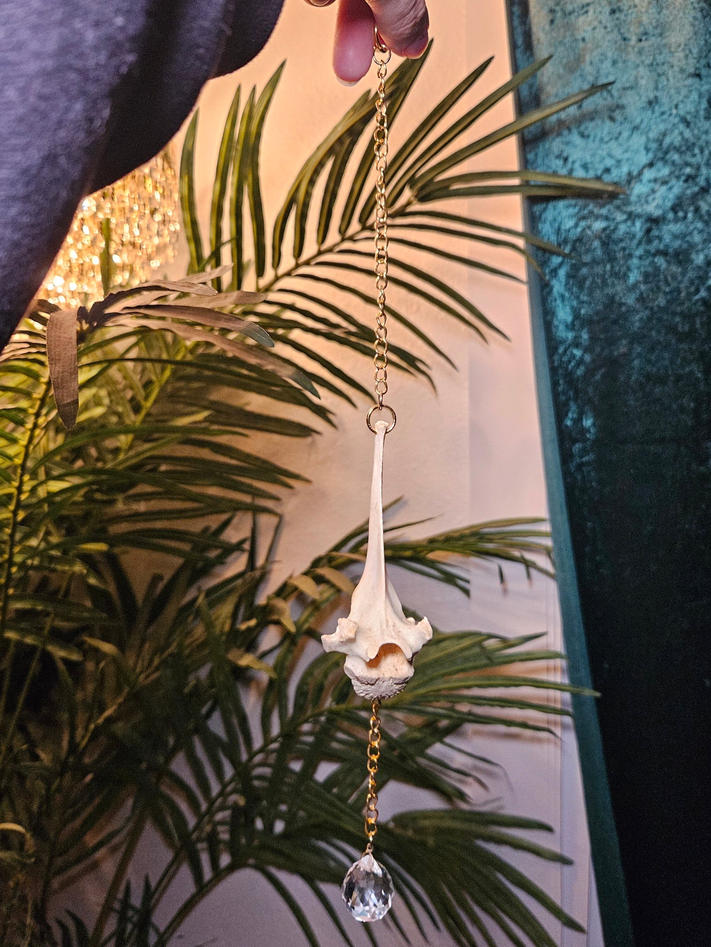 Goat Vertebrae Suncatcher