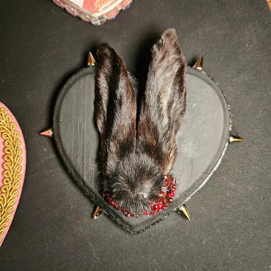 Punk rock rabbit ears