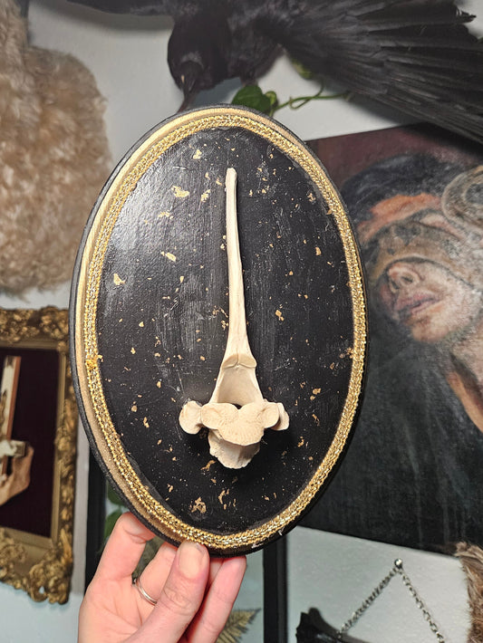Gold Flake Deer Vertebrea Plaque
