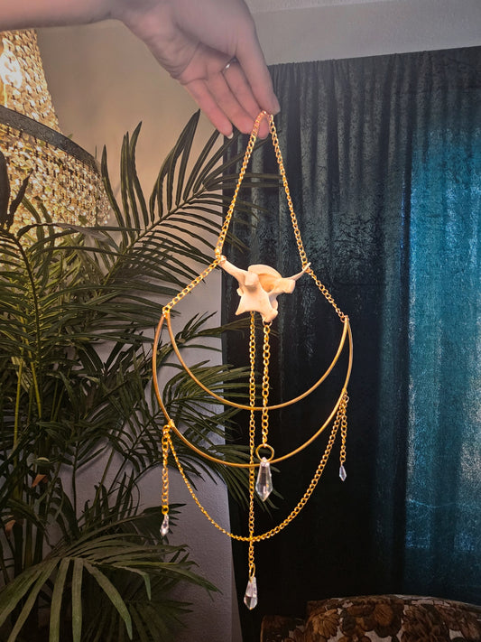 Deer Vertebrea Mooncatcher