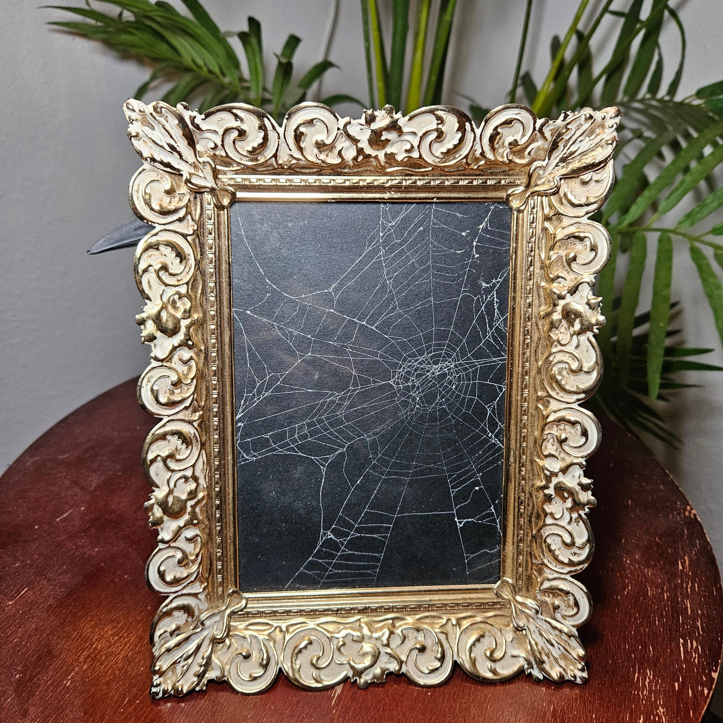 Ornate square spiderweb frame