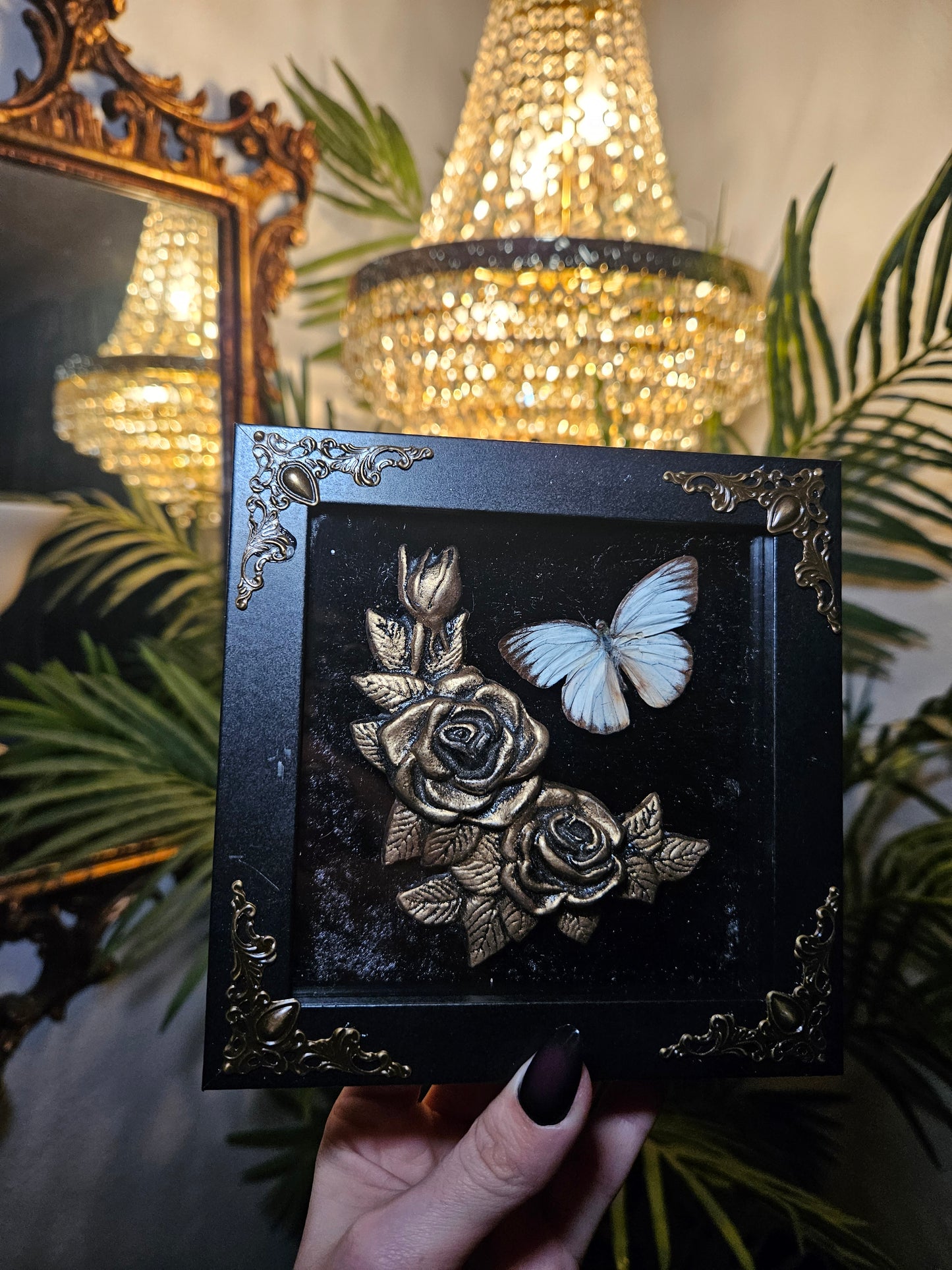 Chocolate Albatross Mourning Roses