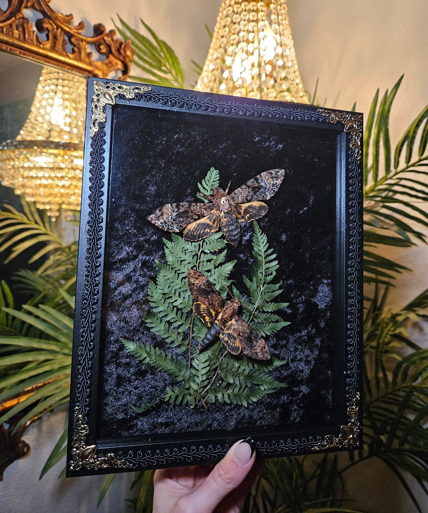 Deaths Head Due Dance