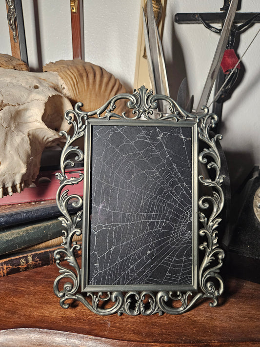 Real Preserved Spider Web Frame