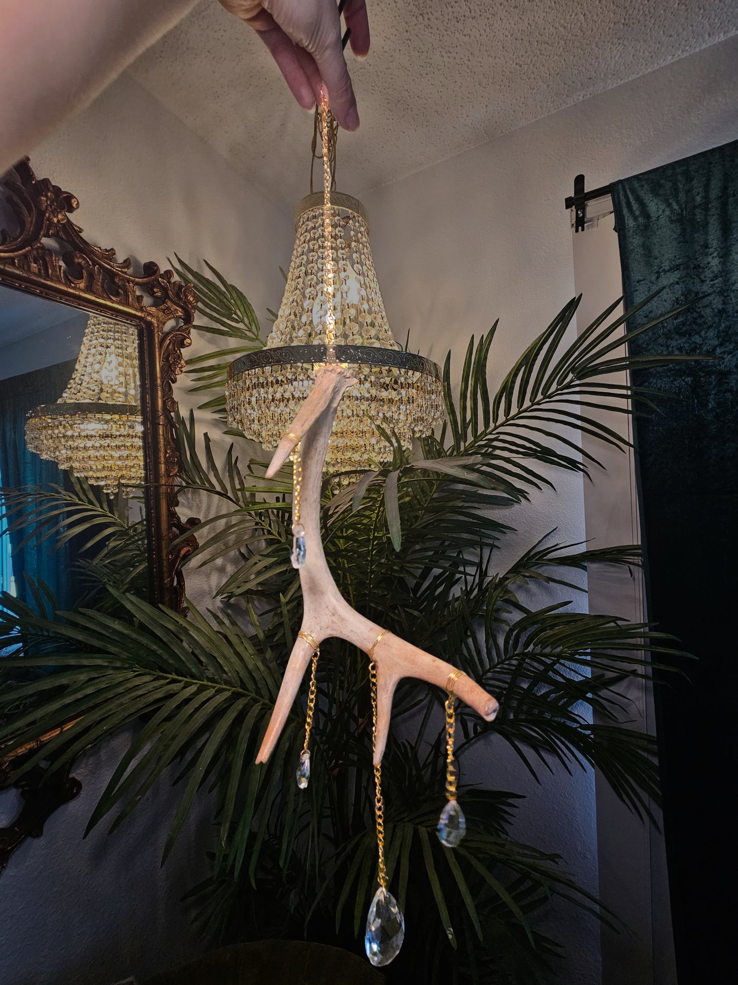 White tail Deer Antler Suncatcher