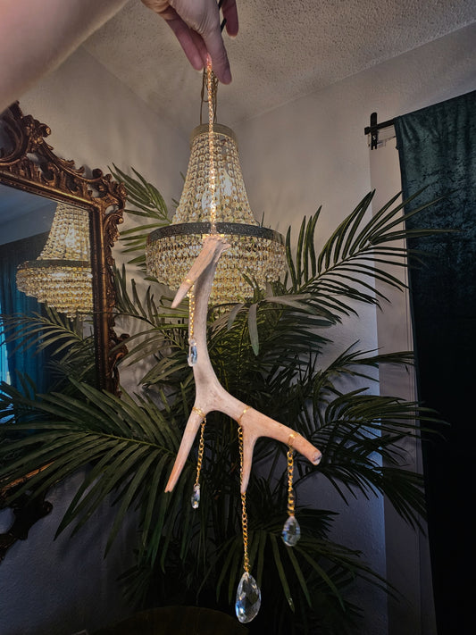 White tail Deer Antler Suncatcher