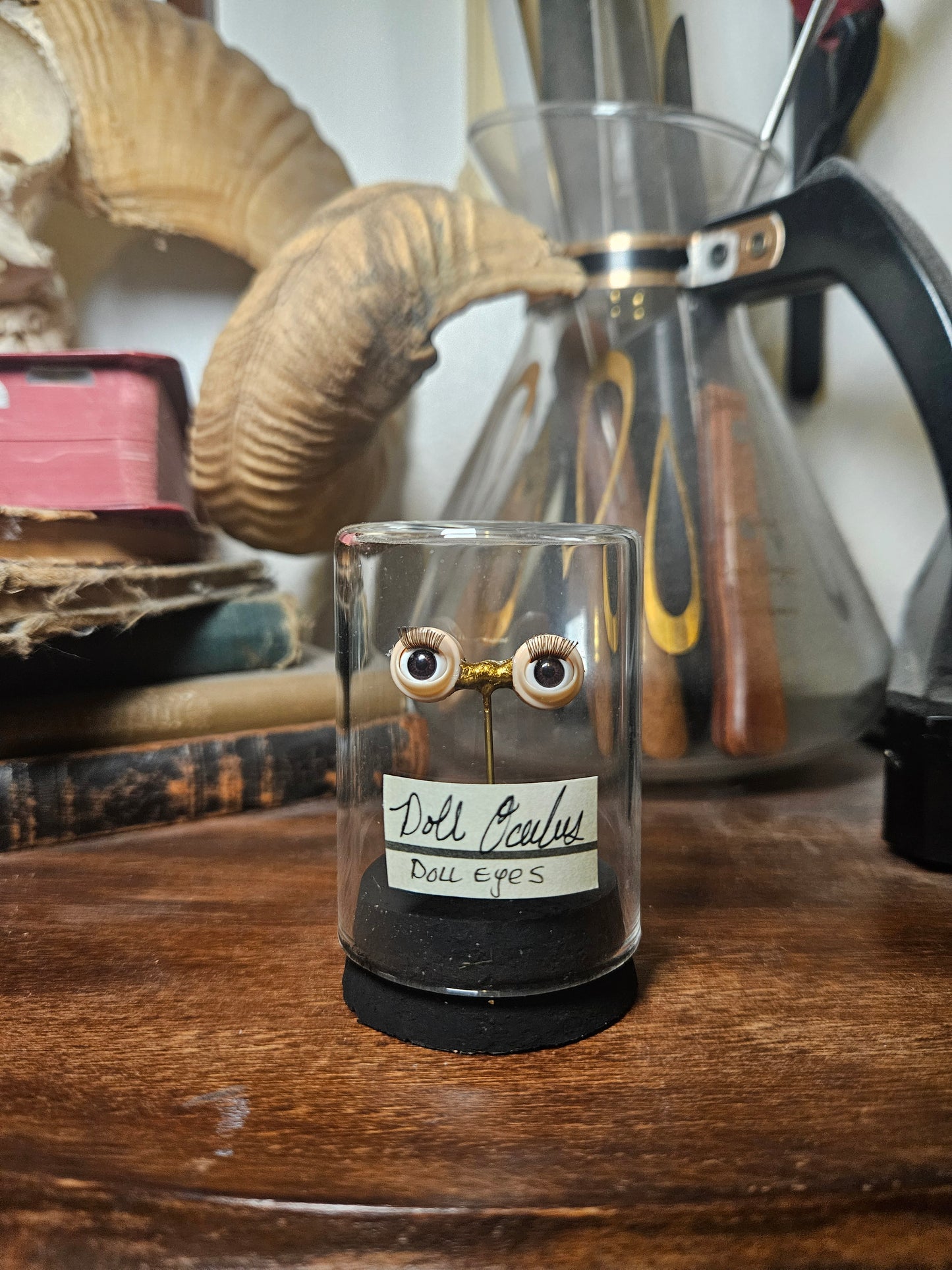 Blinking Doll Eye Curio Dome