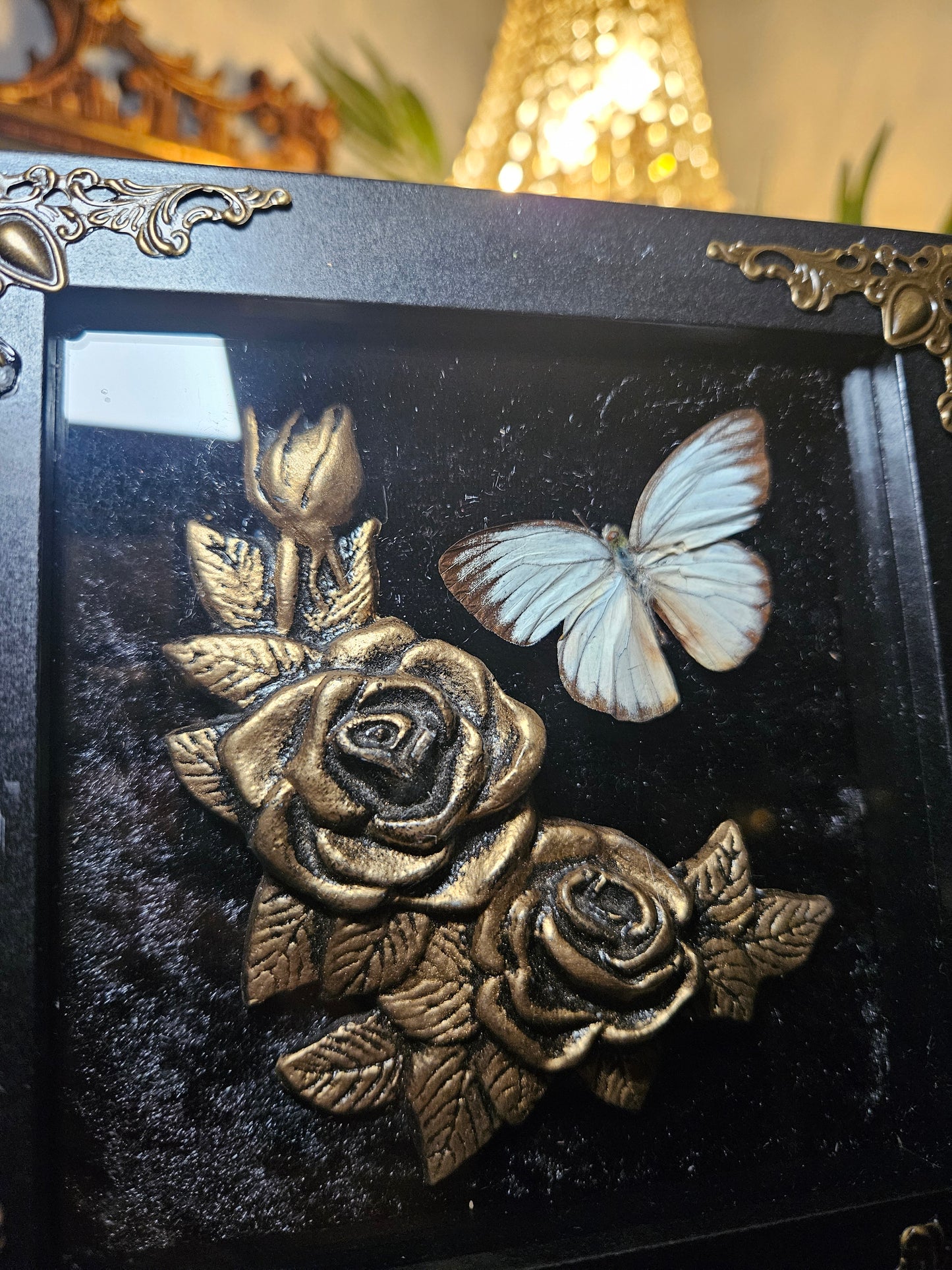 Chocolate Albatross Mourning Roses