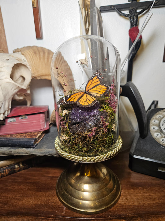 Monarch & Amethyst Dome