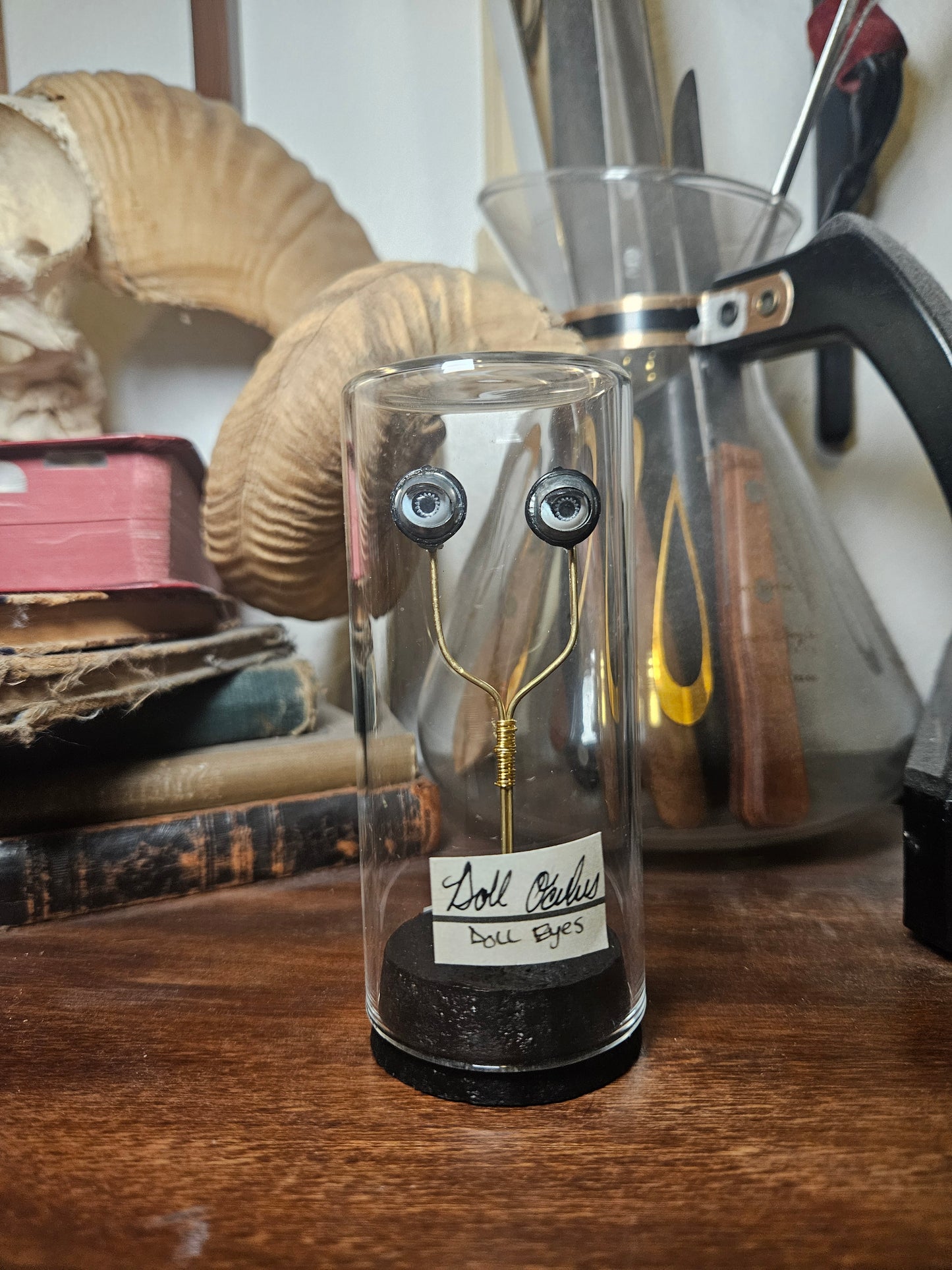 Blinking Doll Eye Curio Dome