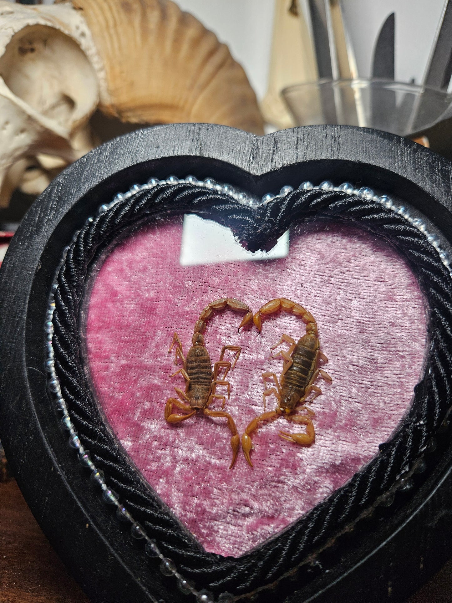 Mini Sapphic Lovers - Velvet