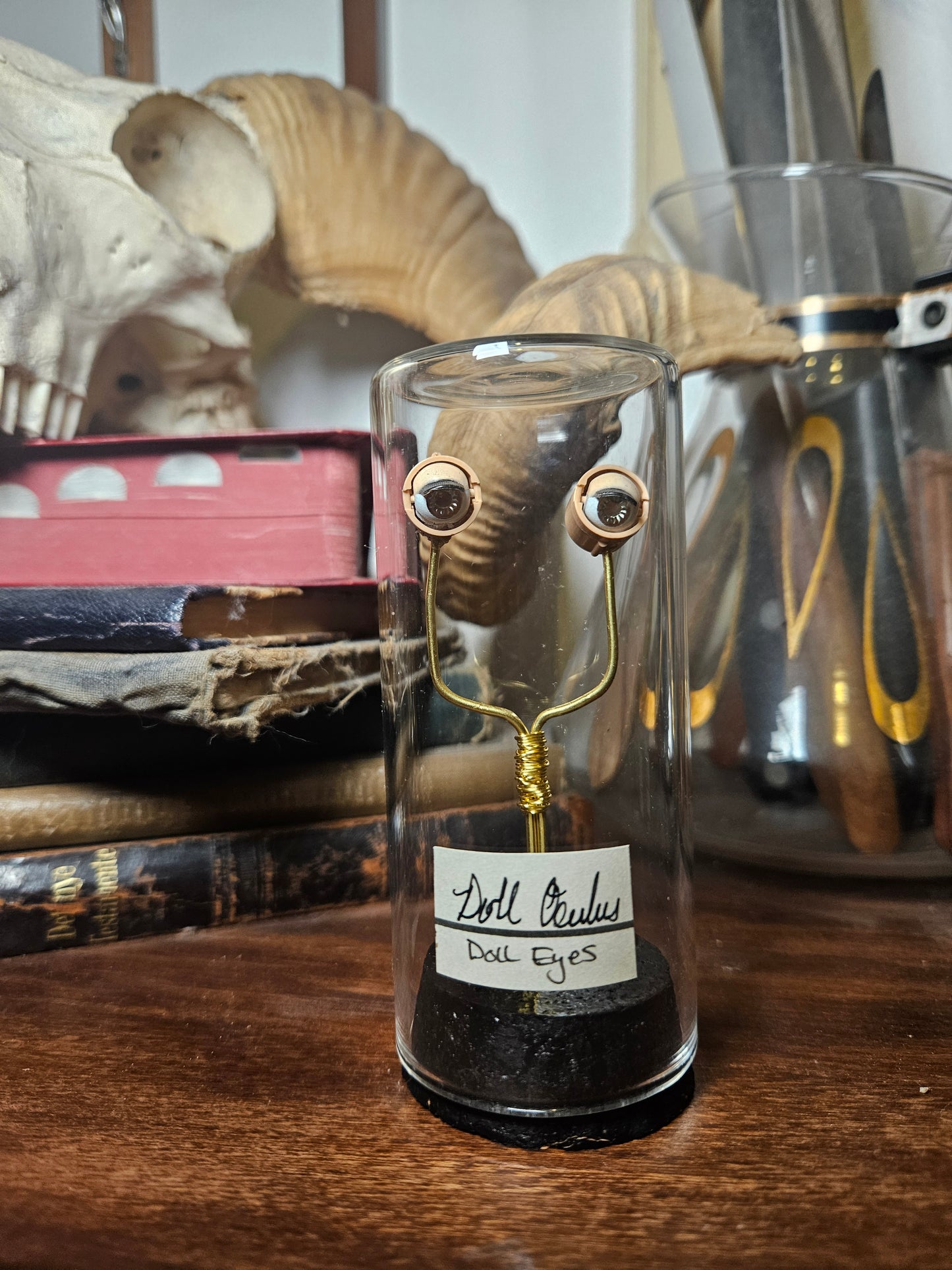 Blinking Doll Eye Curio Dome