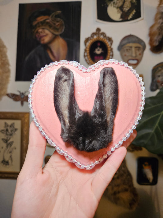 Pretty in pink rabbit ears