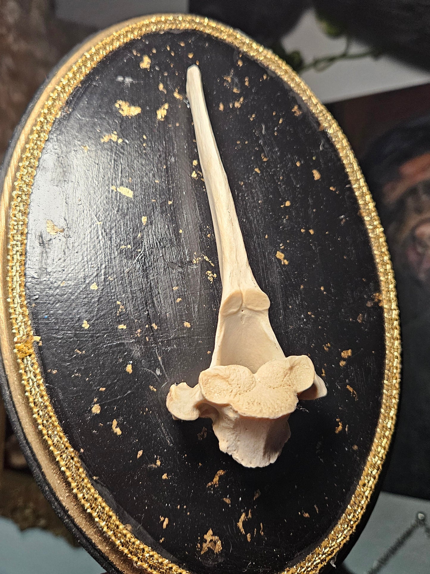 Gold Flake Deer Vertebrea Plaque