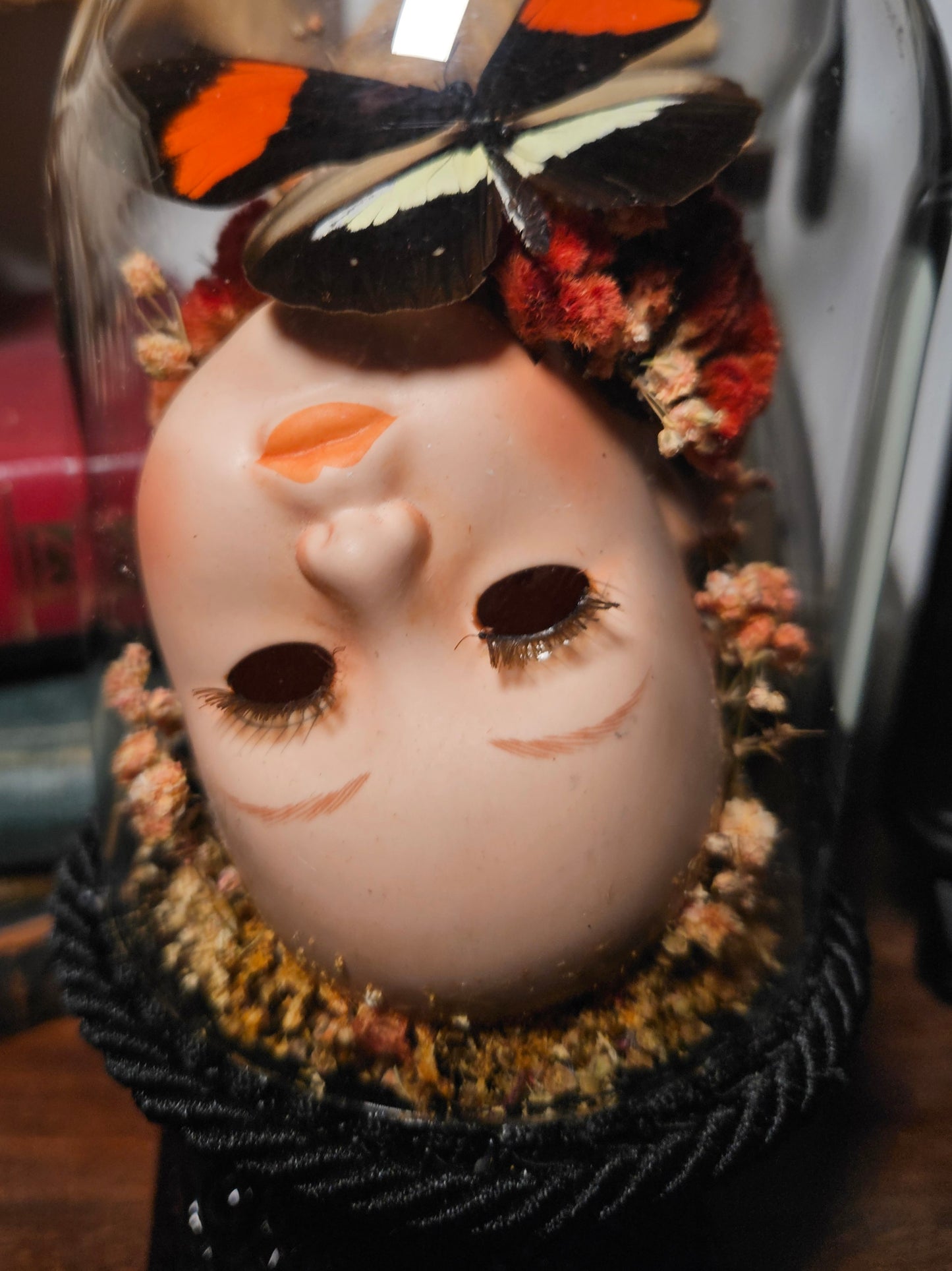 Doris Longwing Doll Head Dome