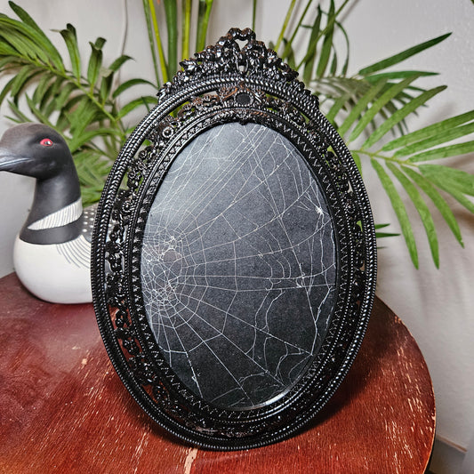 Ornate oval spiderweb frame