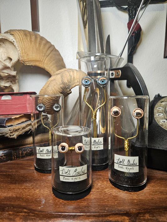 Blinking Doll Eye Curio Dome