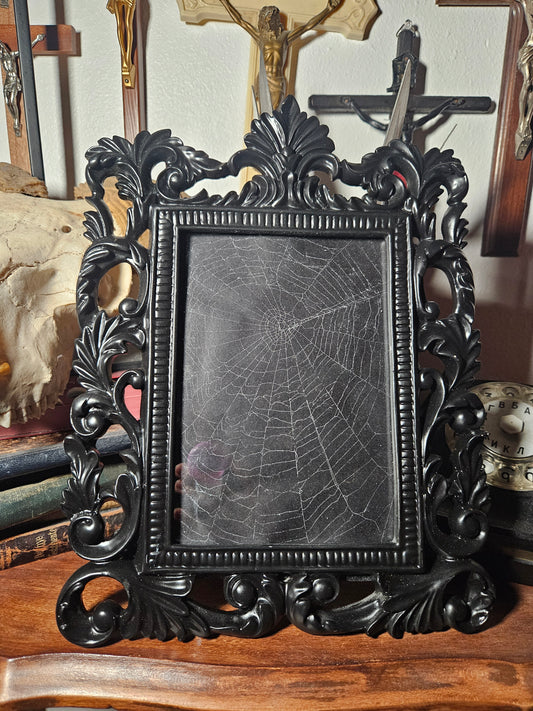 Large Real Preserved Spider web