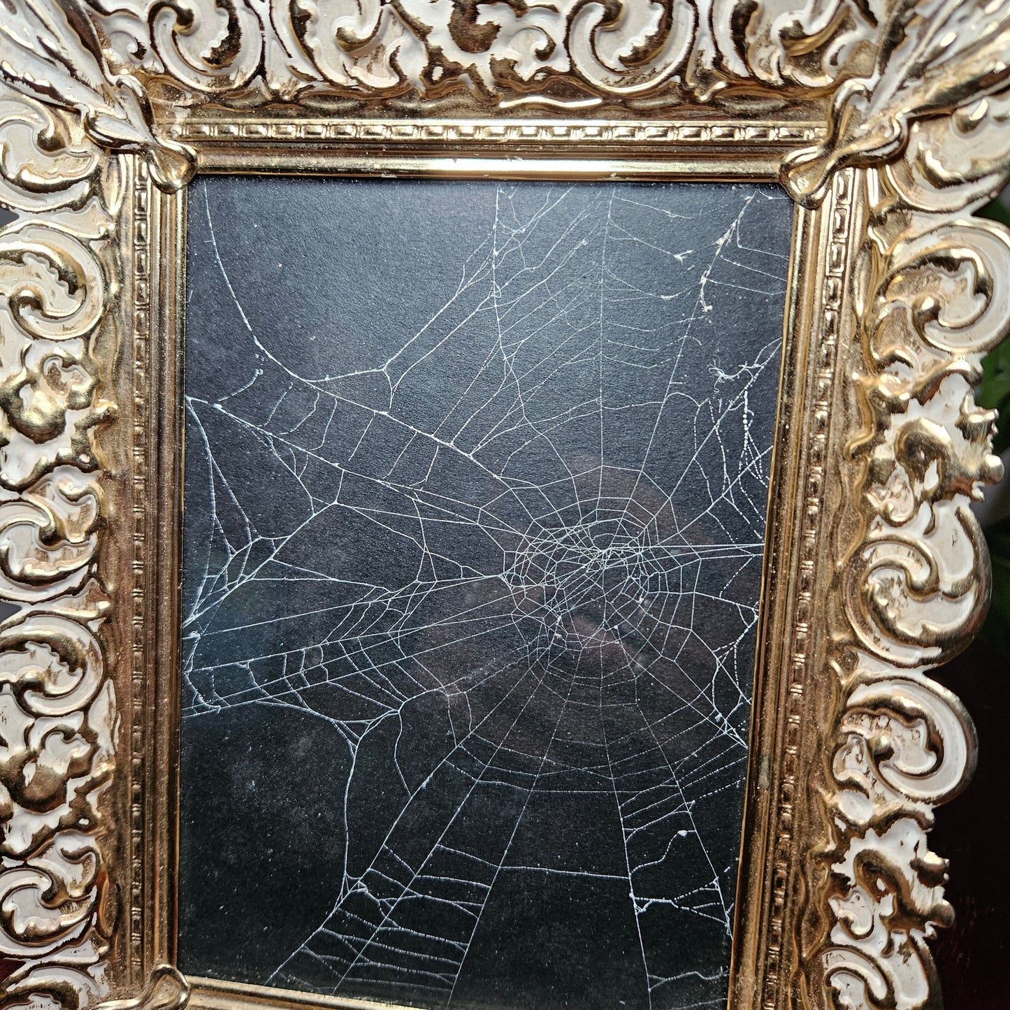 Ornate square spiderweb frame