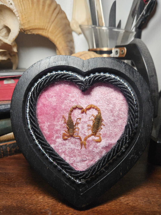 Mini Sapphic Lovers - Velvet