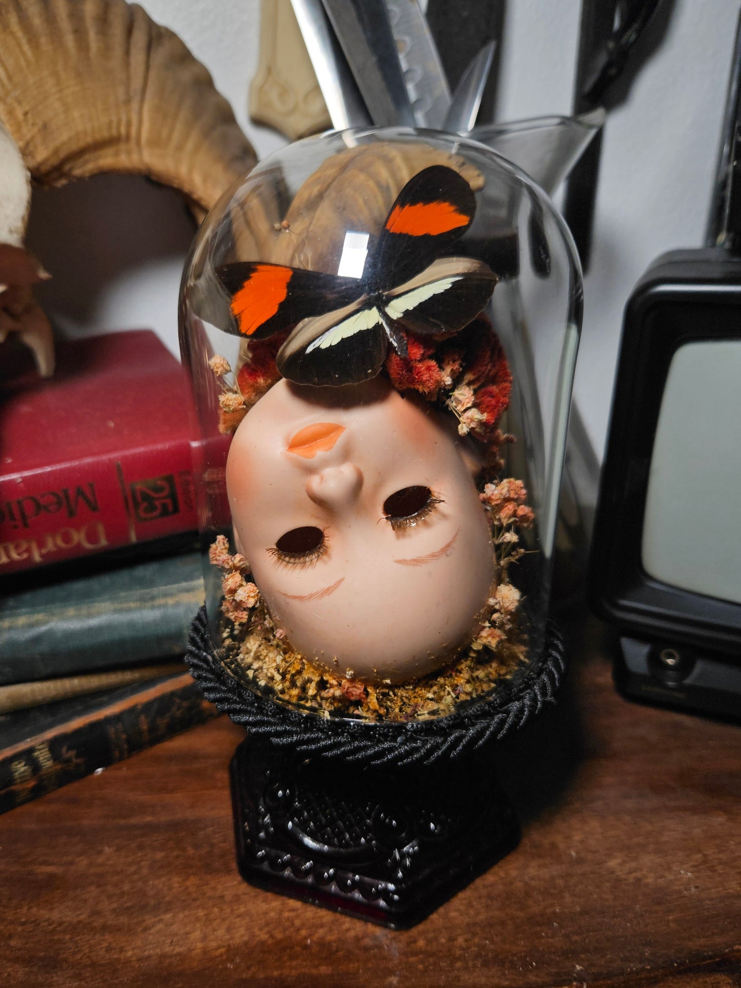 Doris Longwing Doll Head Dome