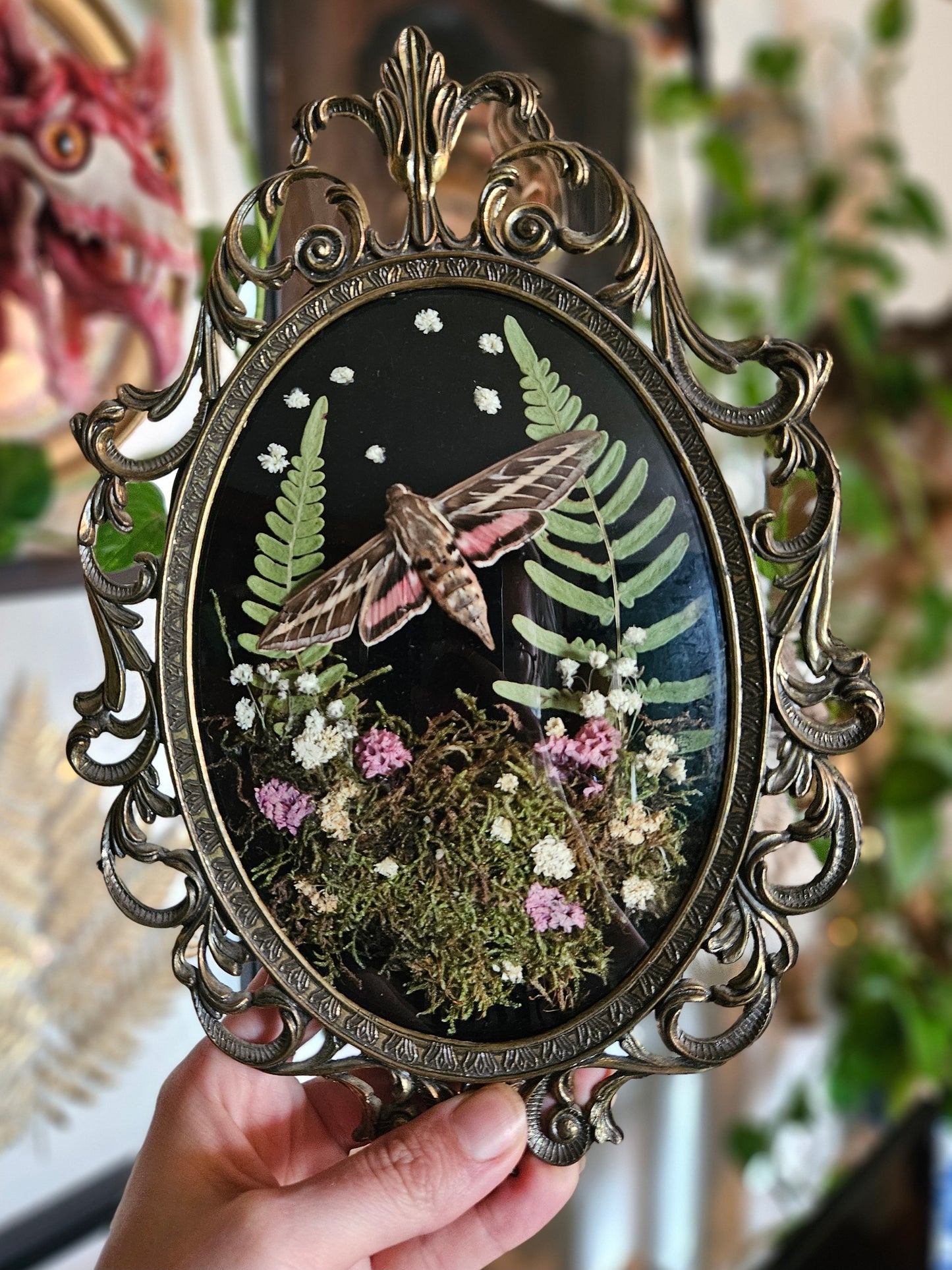 White lined sphinx moth forest