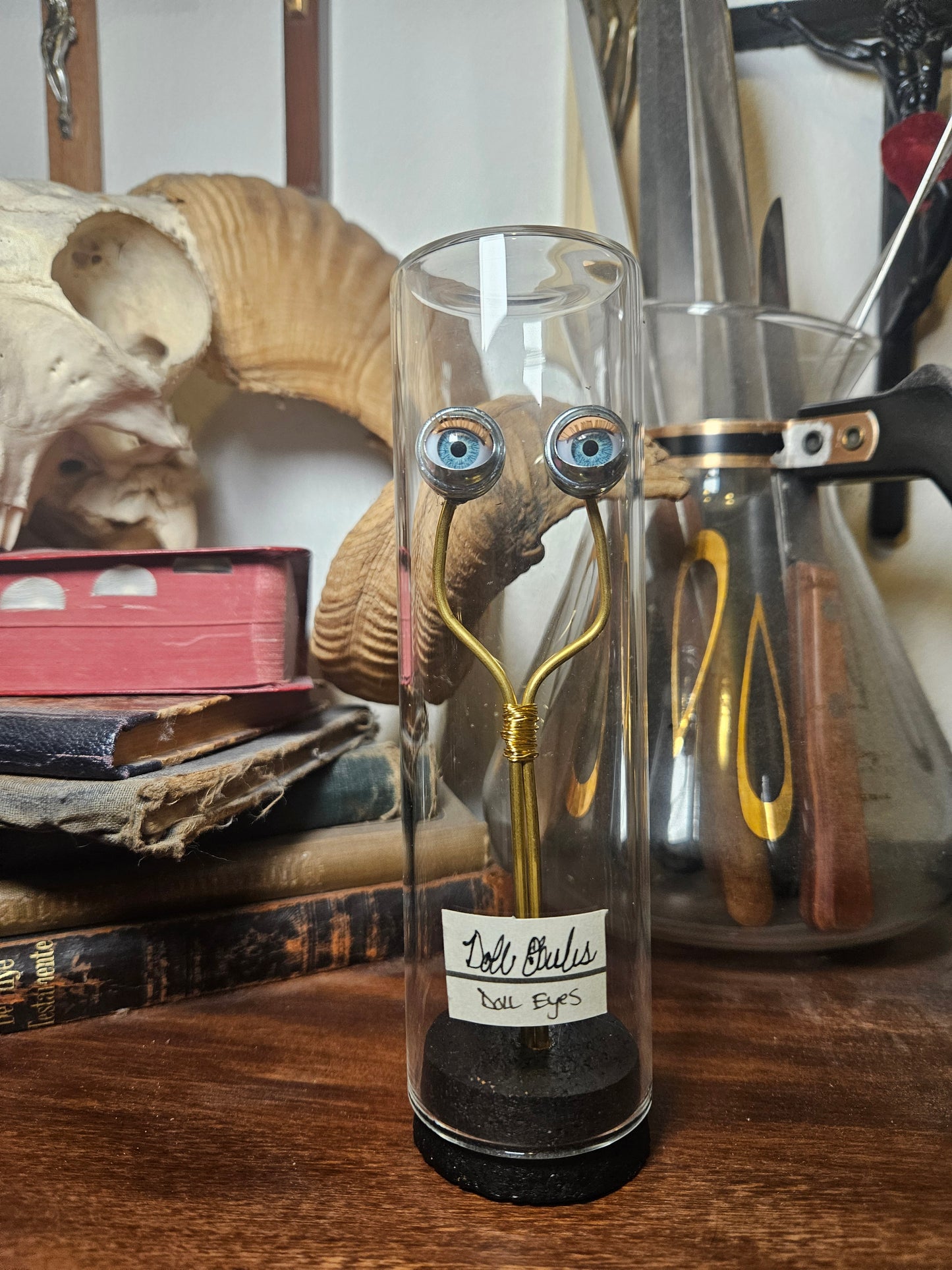 Blinking Doll Eye Curio Dome